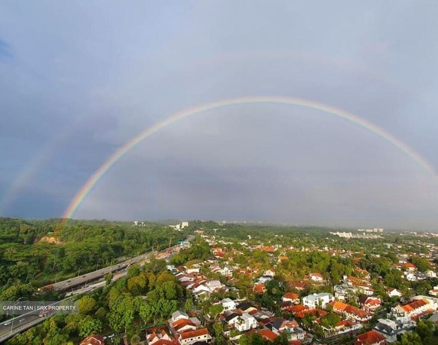 Bukit Timah Plaza / Sherwood Towers (D21), Apartment #469773961